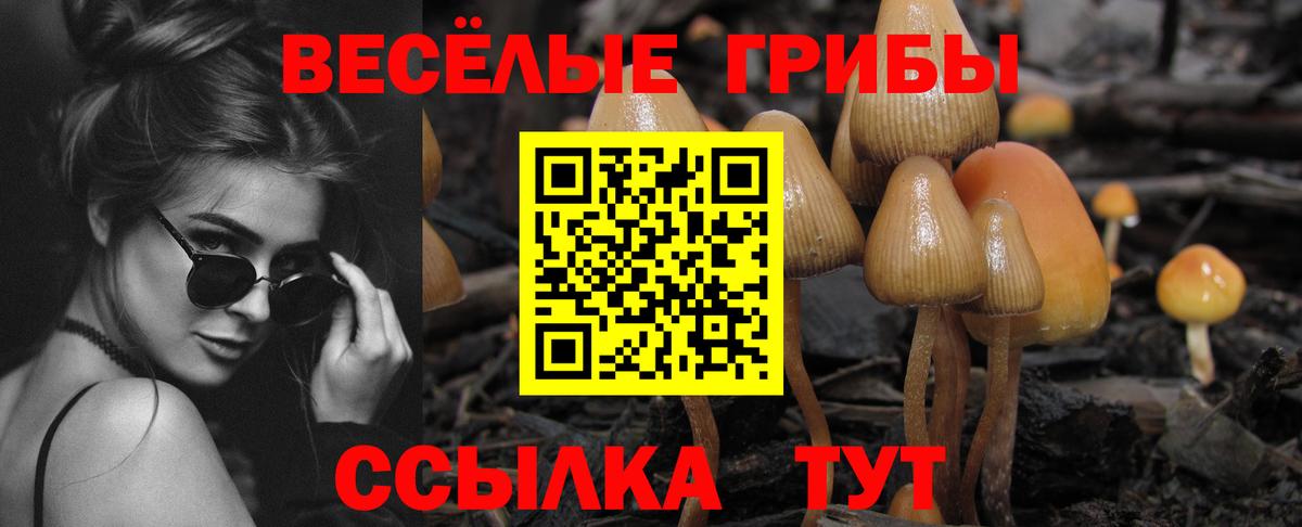 Галлюциногенные грибы ЛСД Анапа