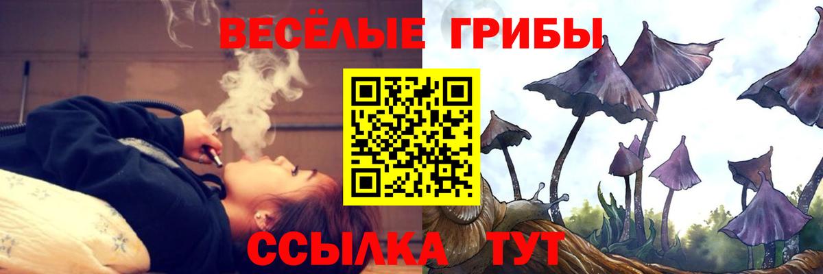 наркотики  Вход с VPN  Анапа  Псилоцибиновые грибы GOLDEN TEACHER  Псилоцибиновые грибы Cubensis 